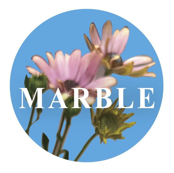 MARBLE