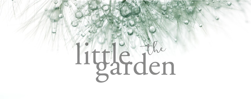 the little garden store