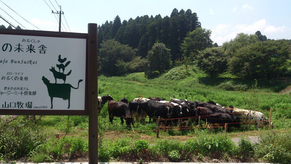 山の未来舎　Café BunSuiRei