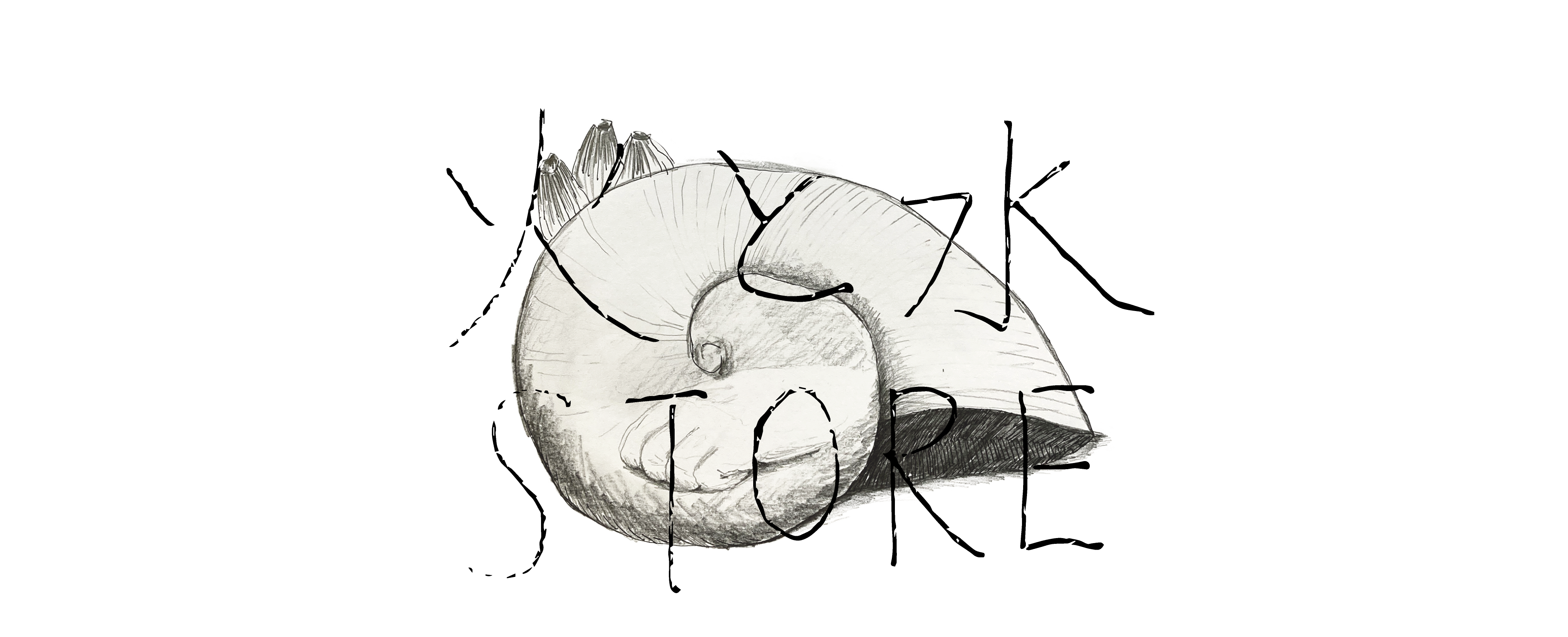 火と水ストアー