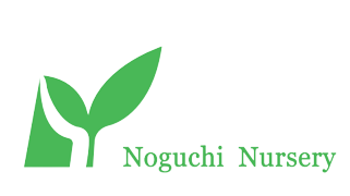 有限会社野口ナーセリー