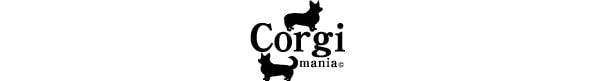 Corgi Mania