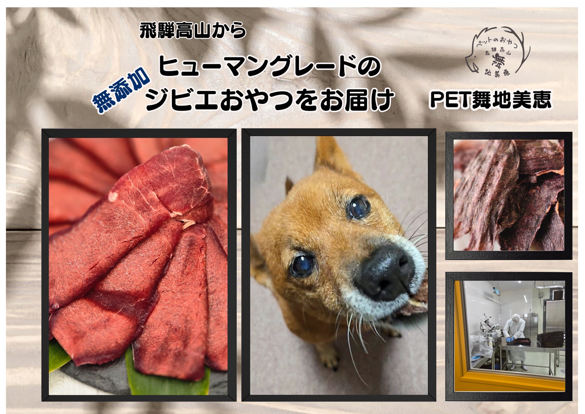 ペット舞地美恵