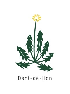 Dent-de-lion (ダンドゥリオン)