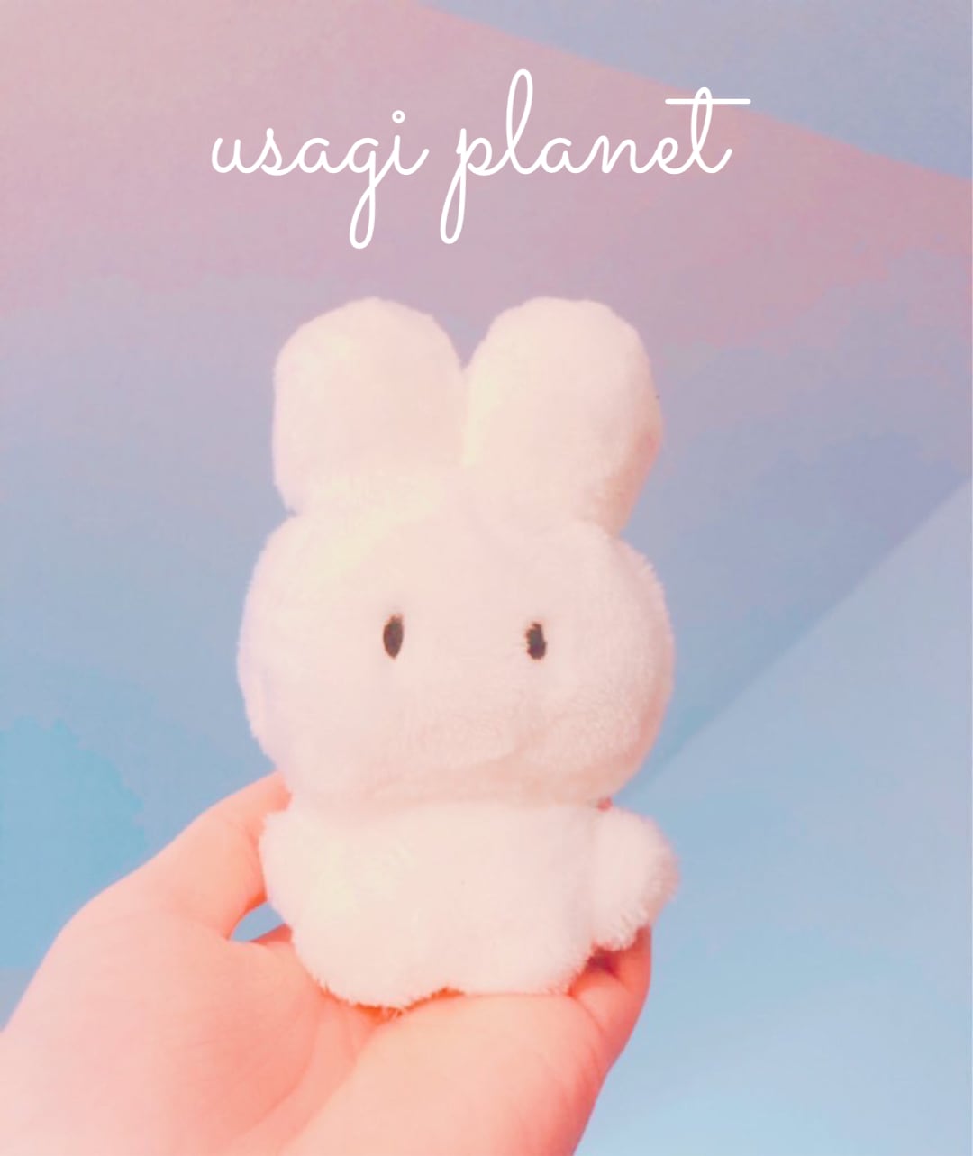 しんりゃくしゃ/ぬいぐるみ/マスコット/usagiplanet しんりゃくしゃ - USAGIPLANET0'S GALLERY | minne byGMOペパボ 国内