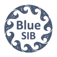 BLUE S.I.B