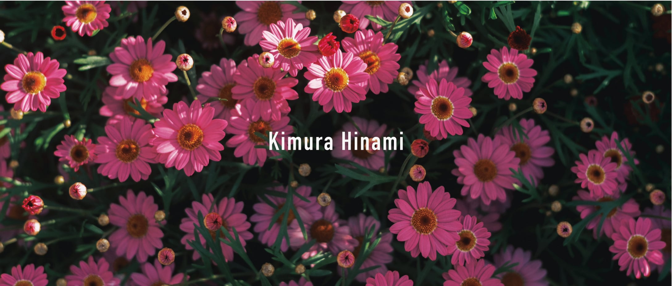 Kimura Hinami