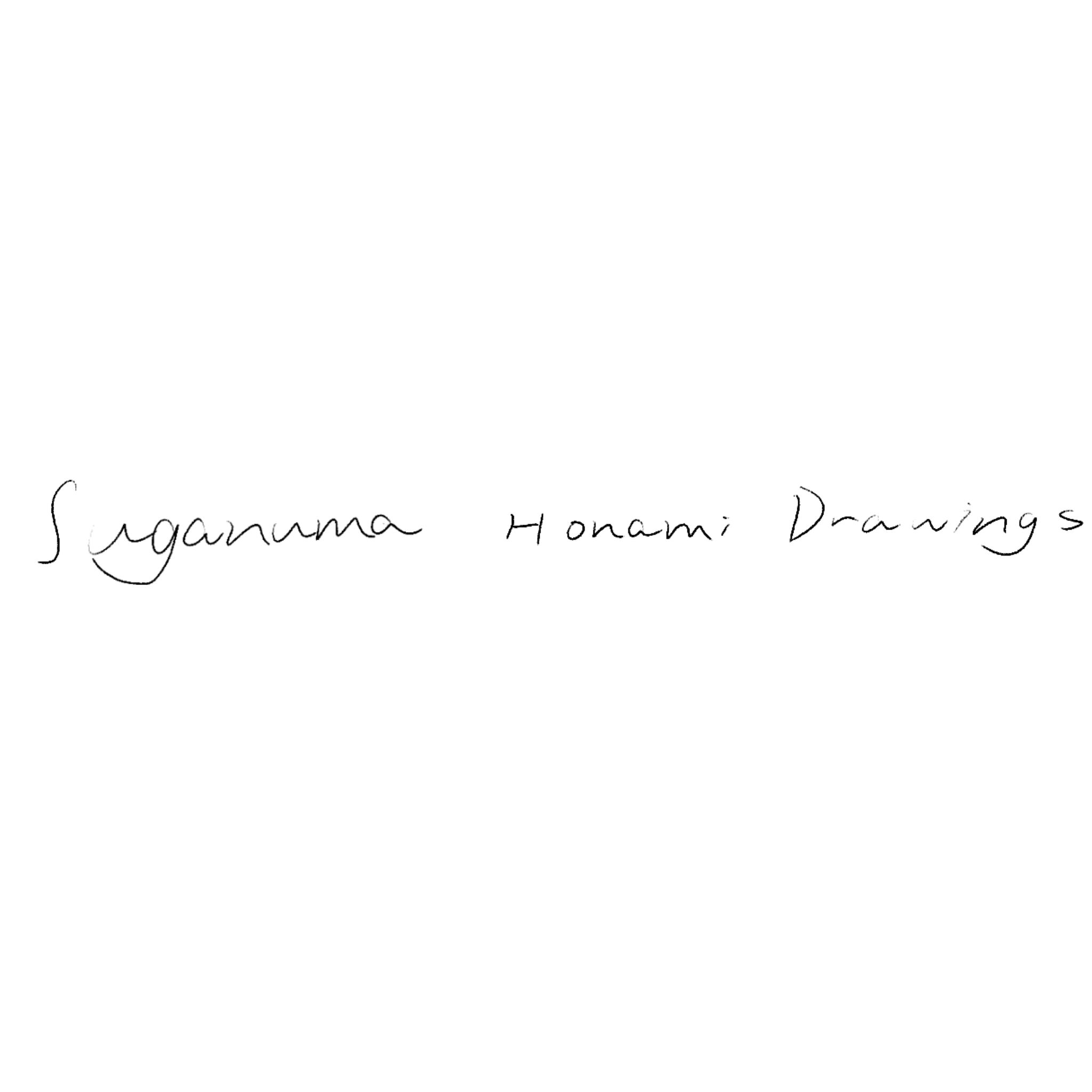 Suganuma Honami Drawings