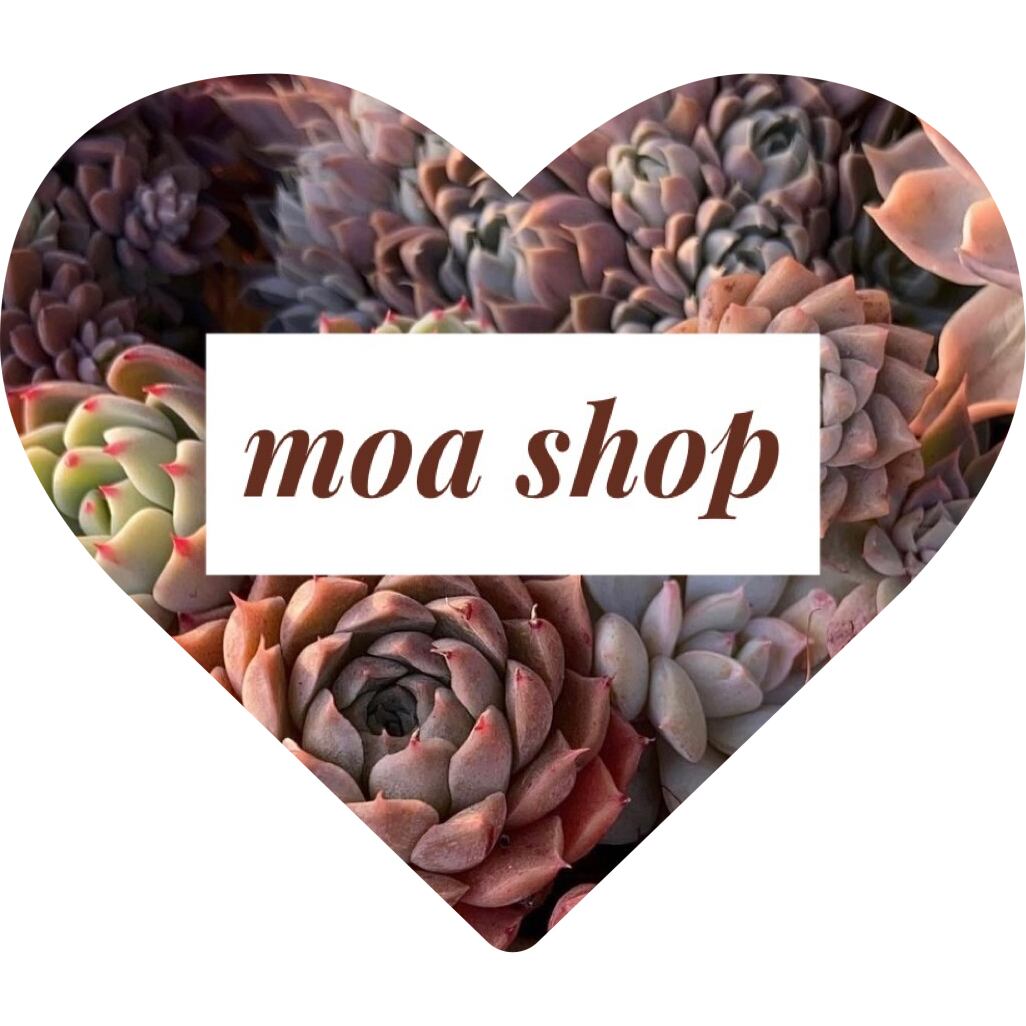 moa shop
