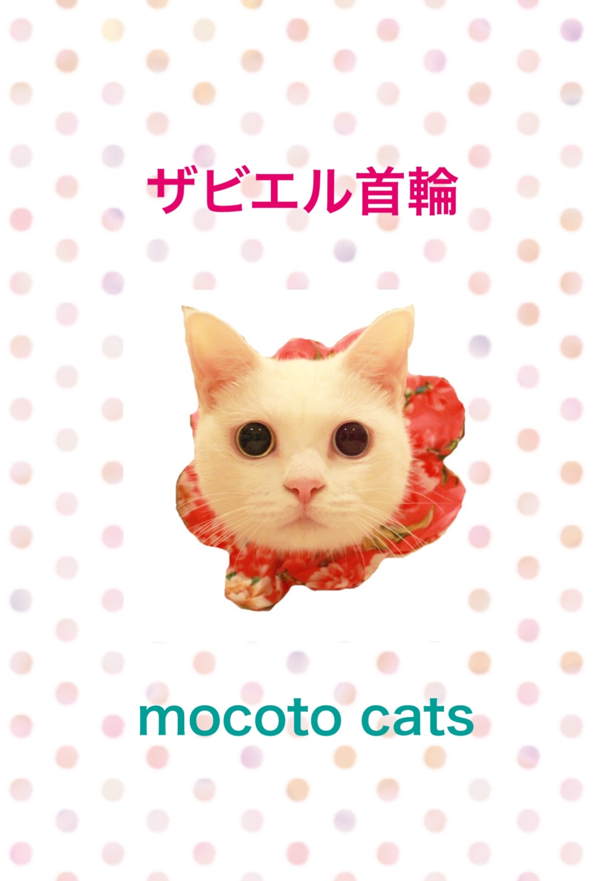 ザビエル首輪　mocoto cat