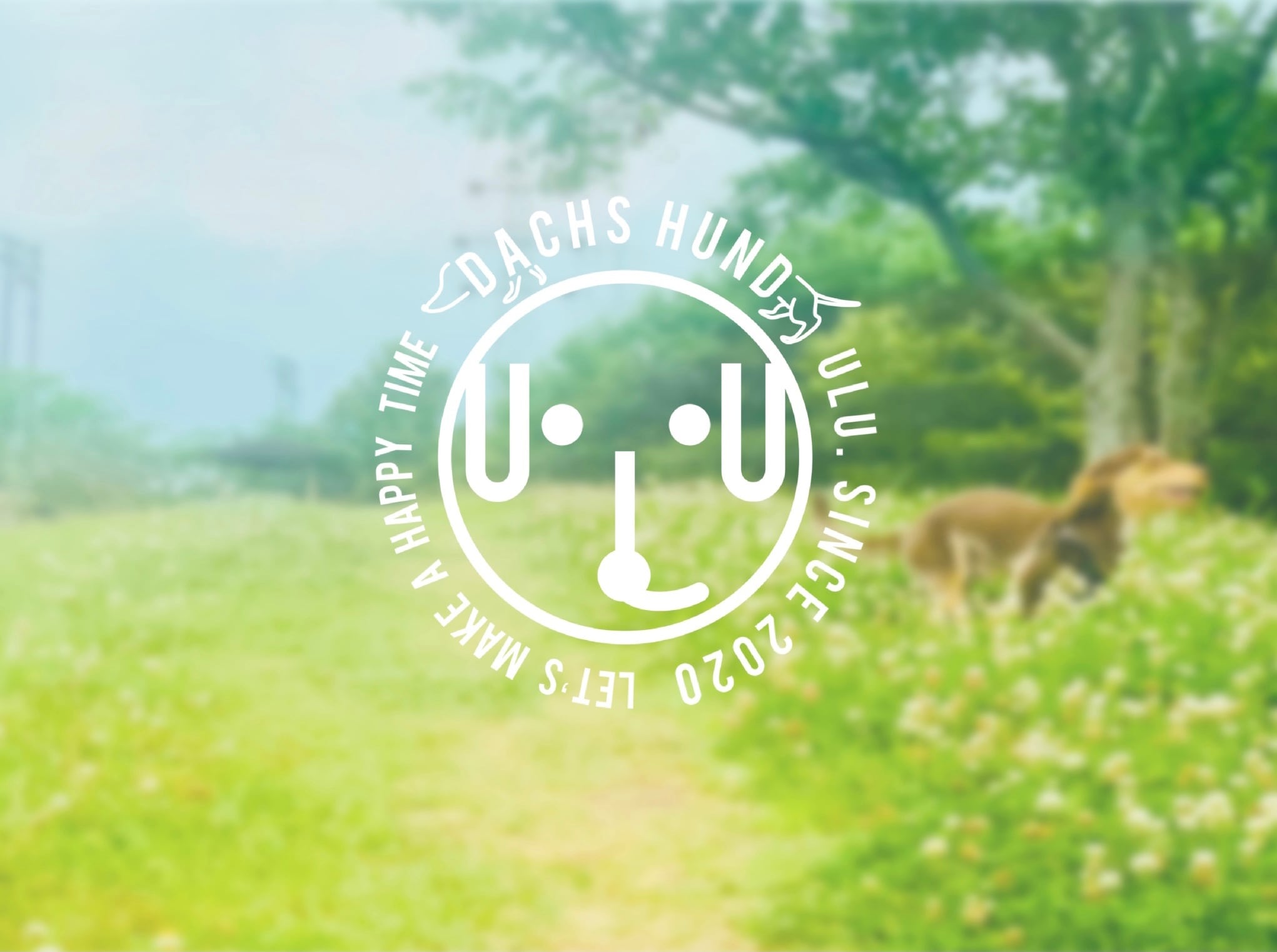 ULU