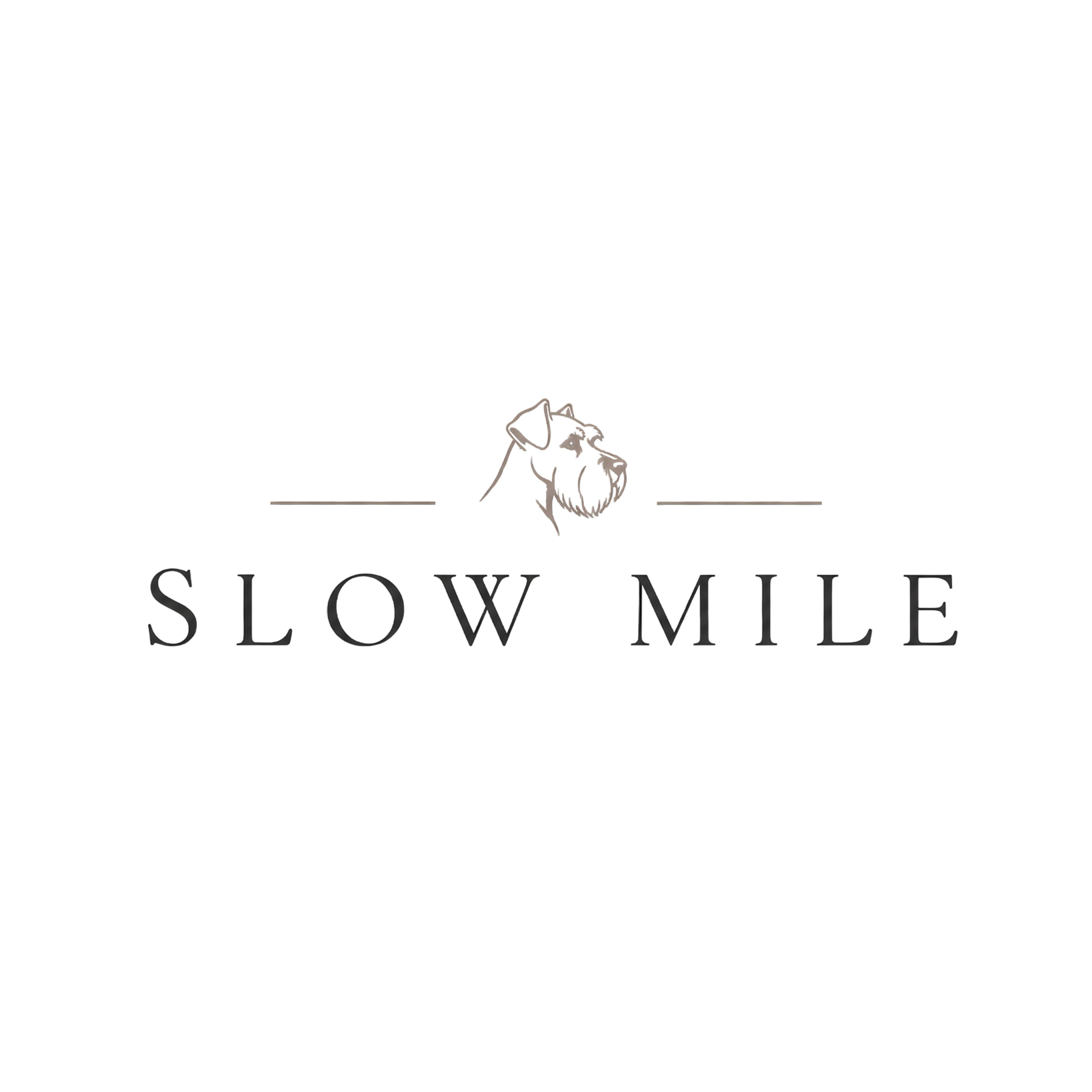 SLOW MILE