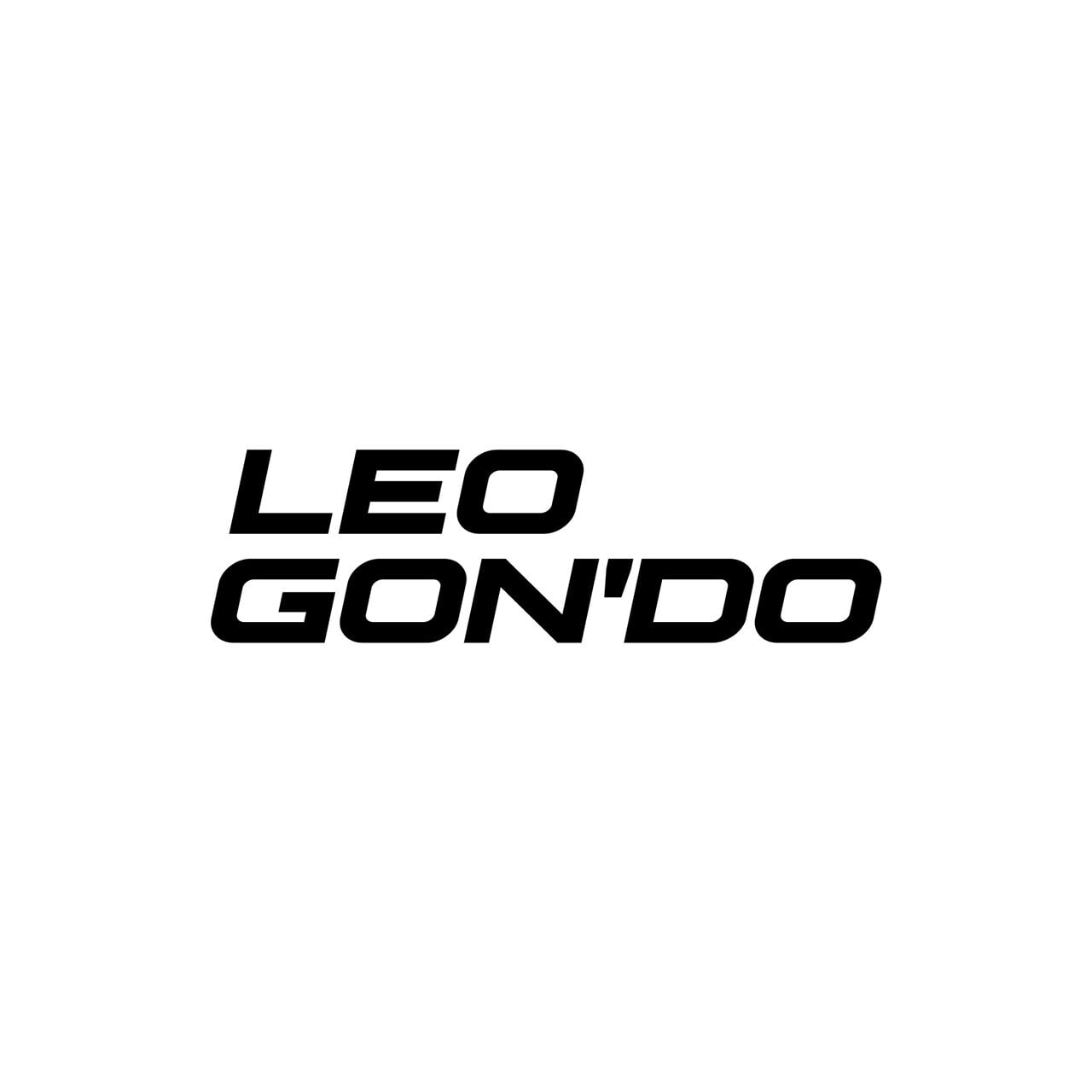 ABOUT LEO GON DO about-leo-gon-do