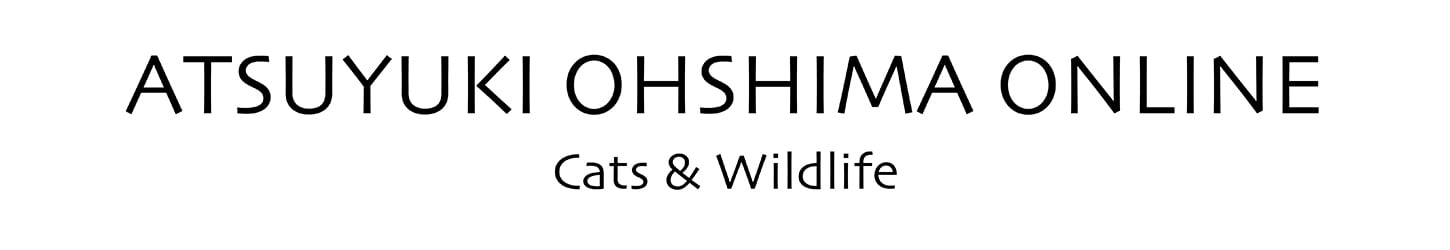 Atsuyuki Ohshima Online