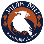 balijalak