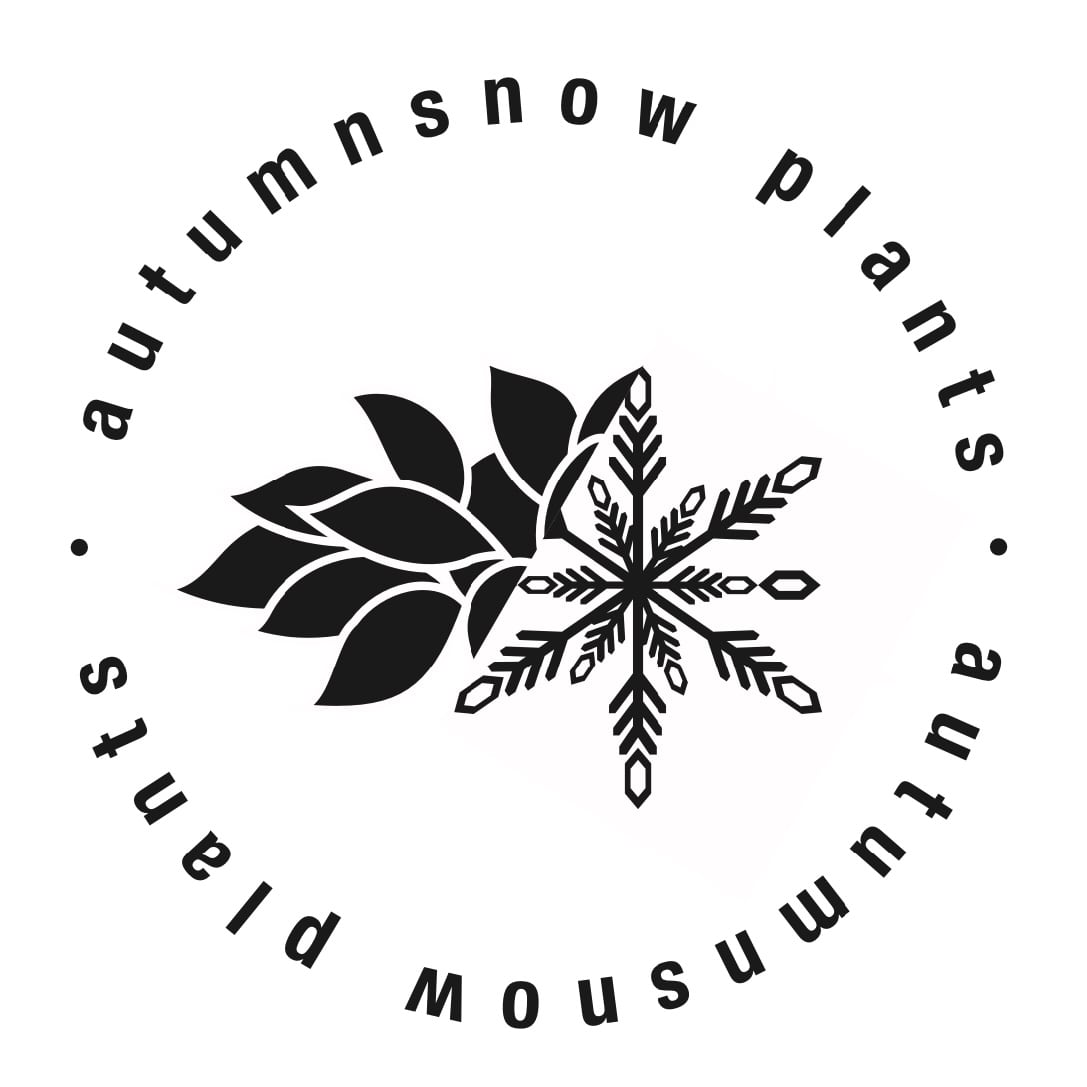 autumnsnow plants.
