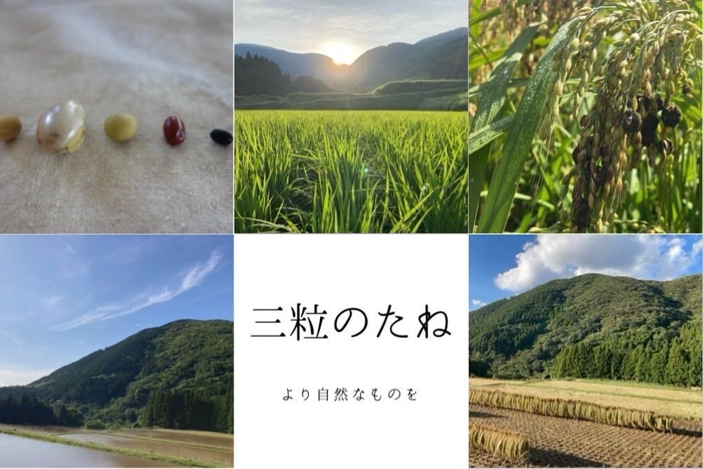 農園 三粒のたね