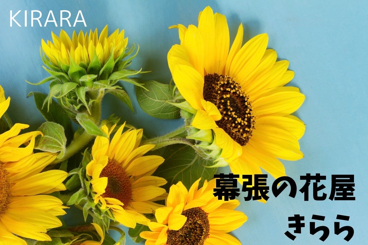 幕張の花屋　きらら