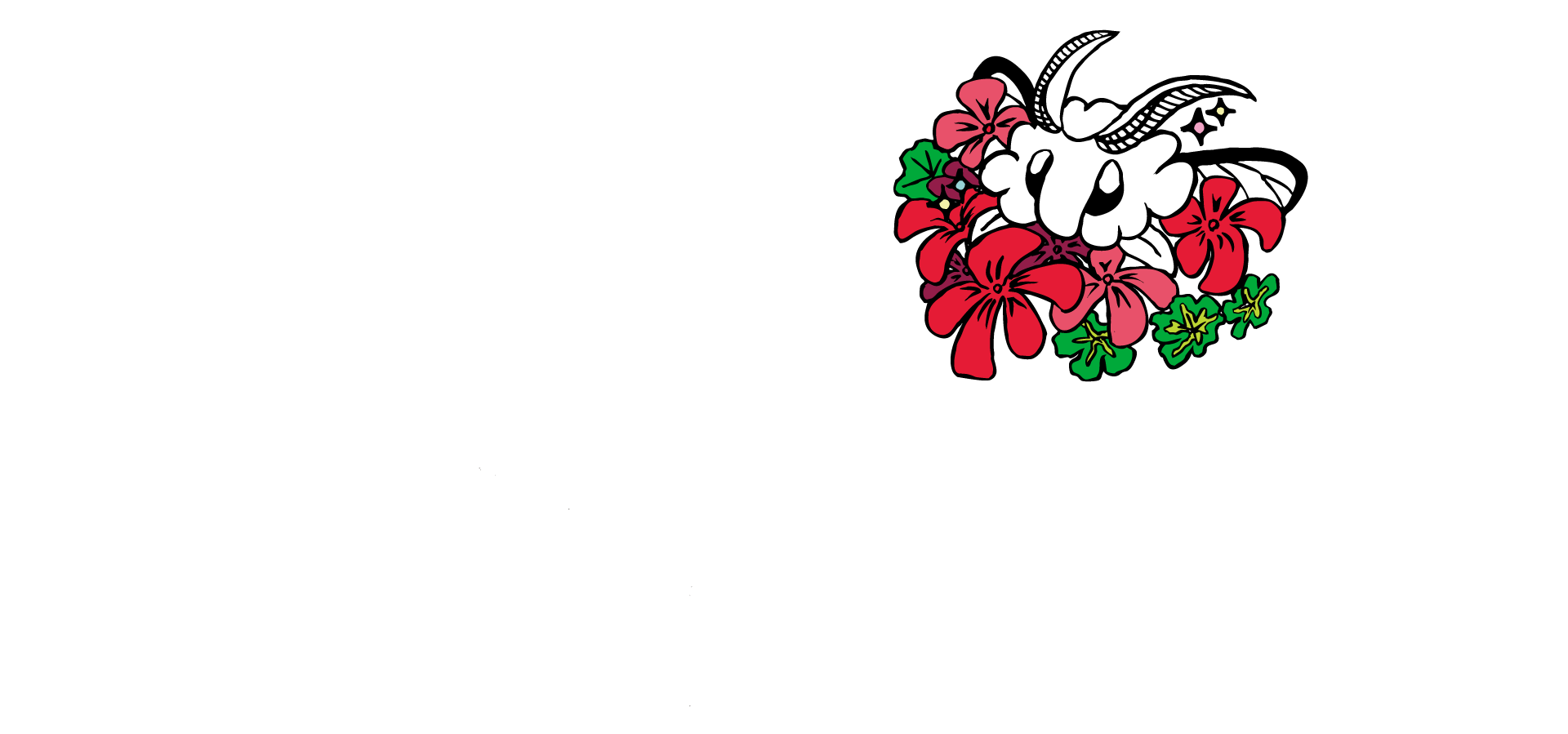 Ayaka Hayashi -online store-