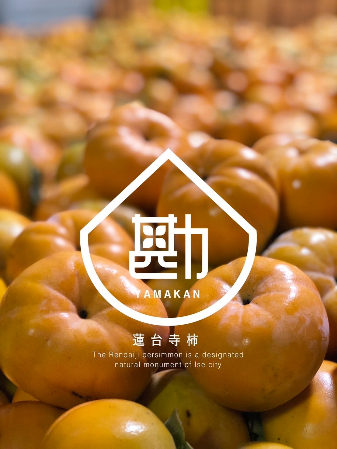 伊勢の果物  “蓮台寺柿”のお店