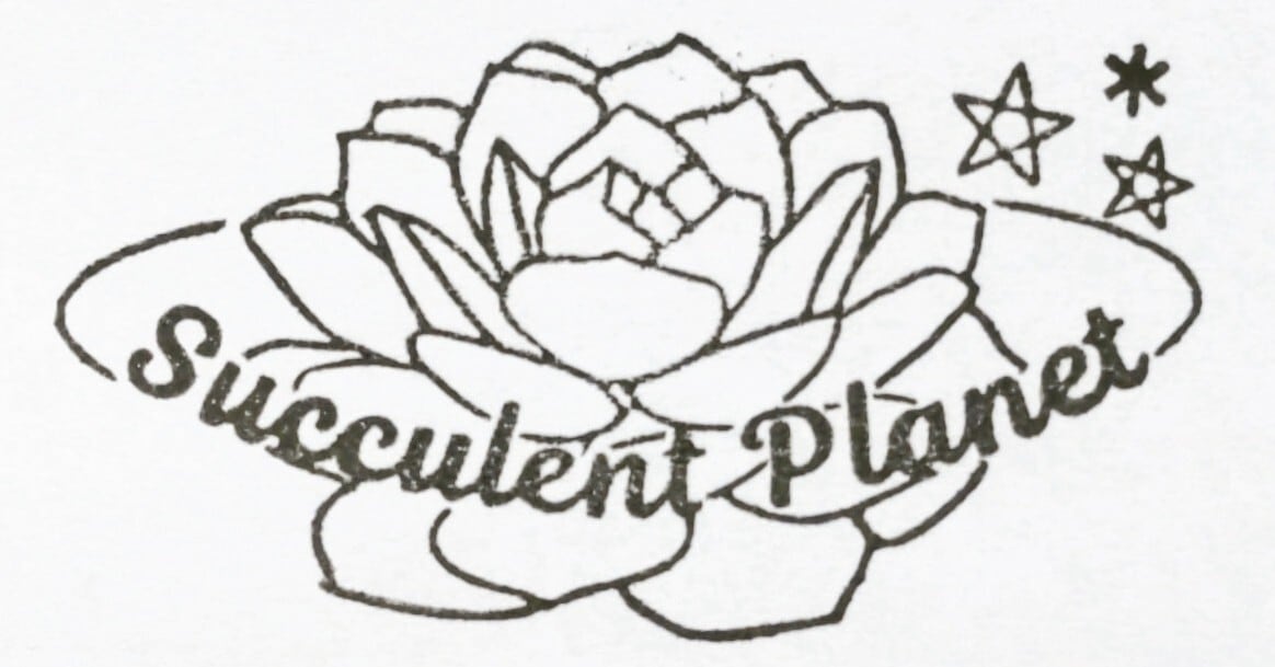 Succulent Planet