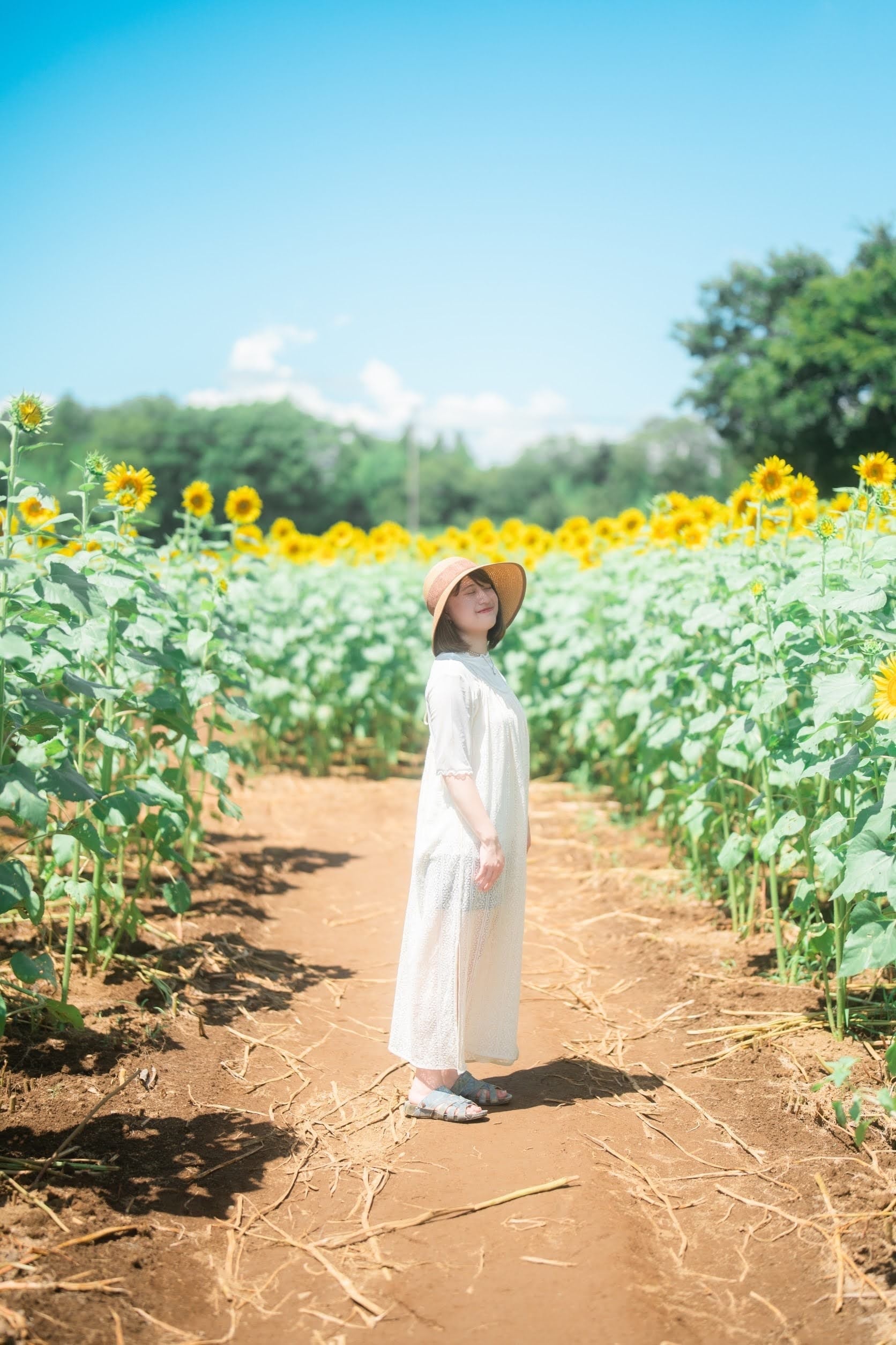 鷺沢Online Shop