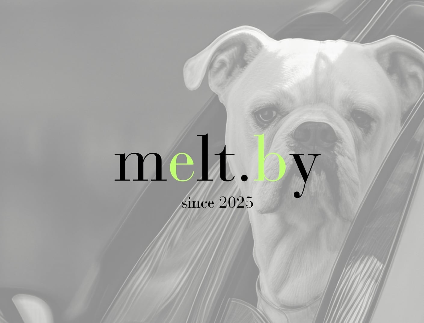 MELT.BY