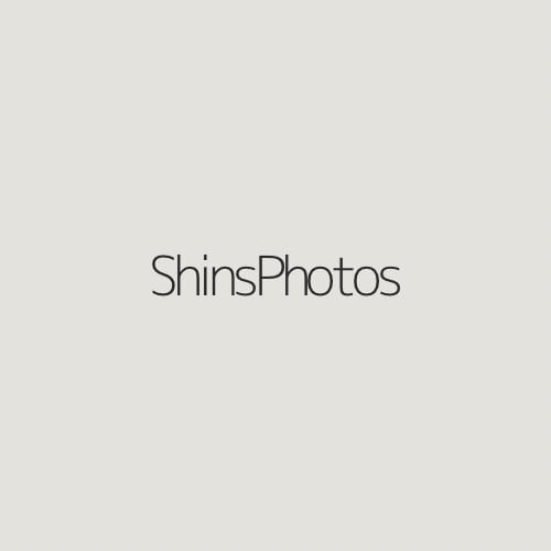 shinsphotos