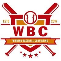 Winning Baseball Consulting