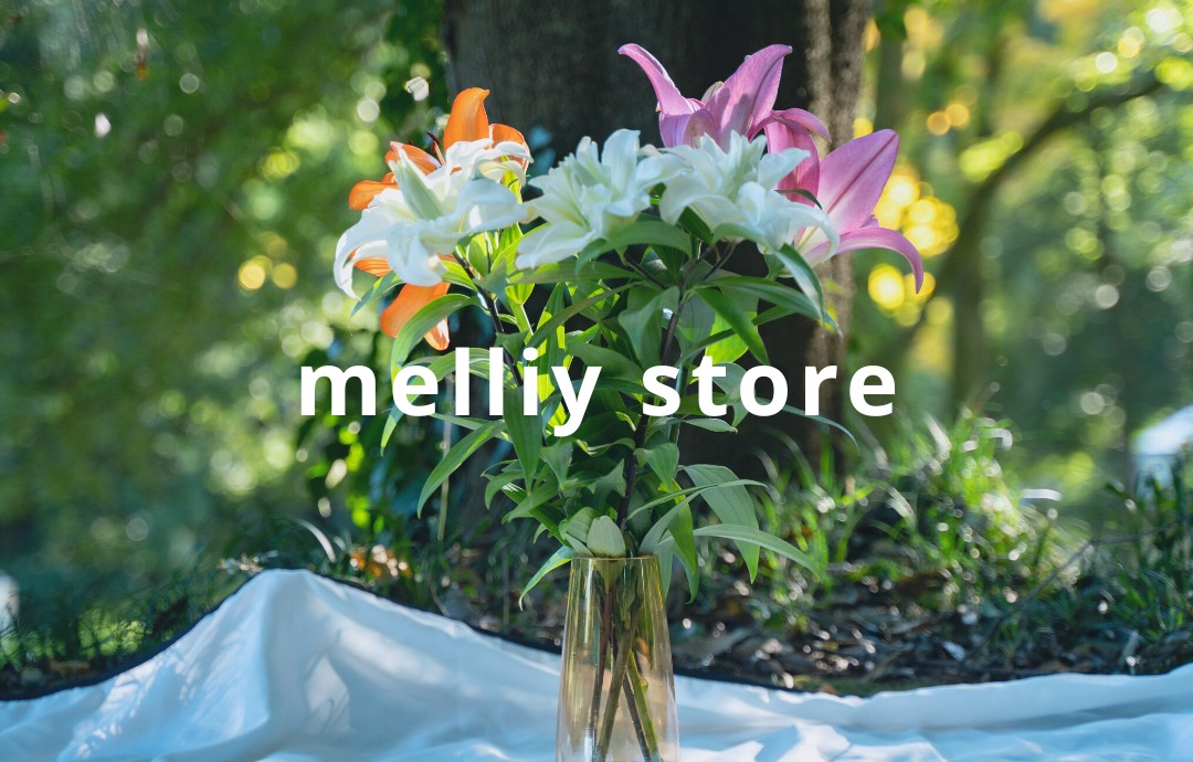 melliy store