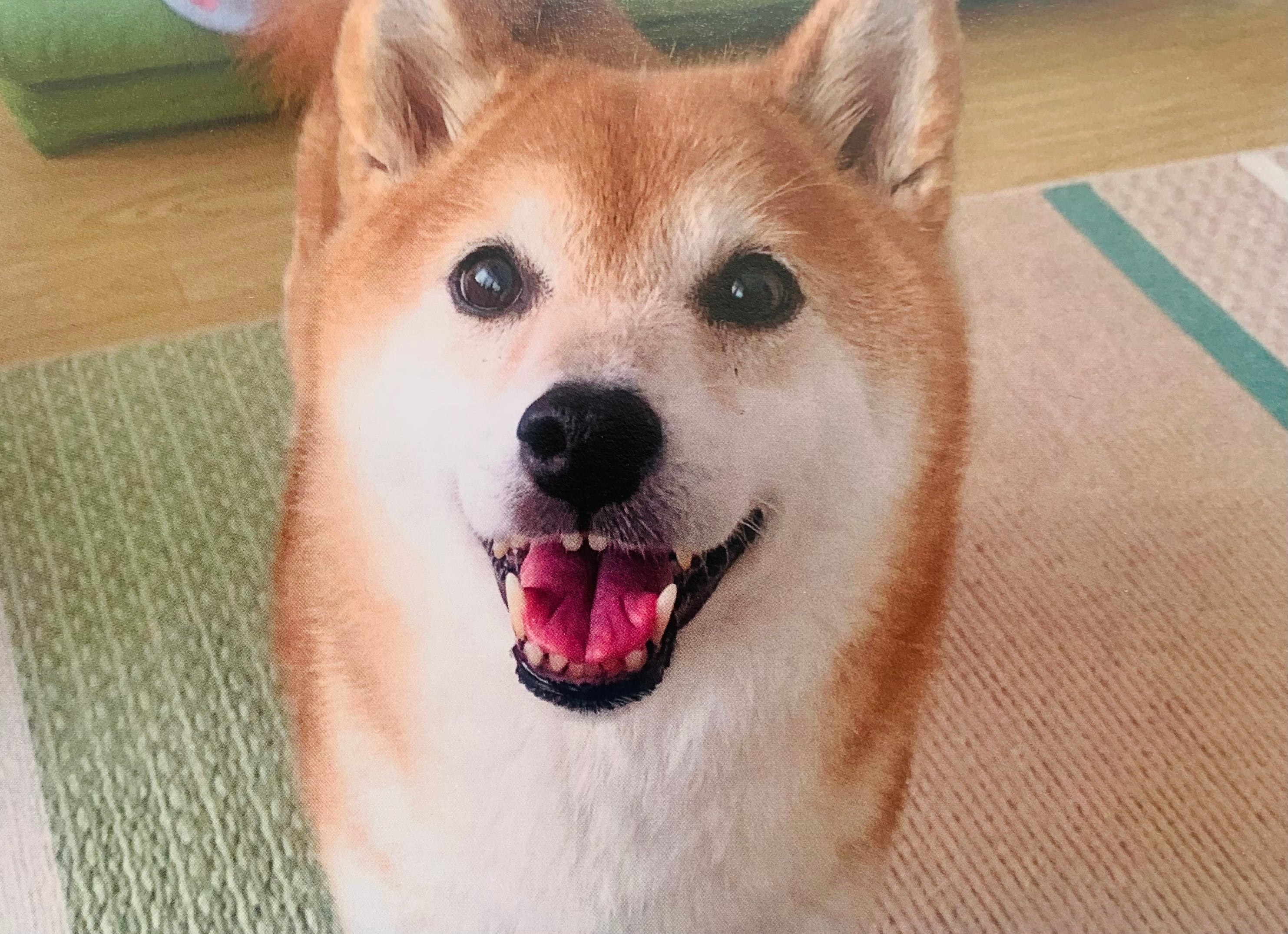 小さな癒しのマルシェ