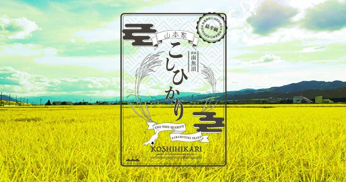 ももこ様　山形県産　幻の谷沢梅　15キロ　無農薬 ももこ様 山形県産 幻の谷沢梅 15キロ 無農薬
