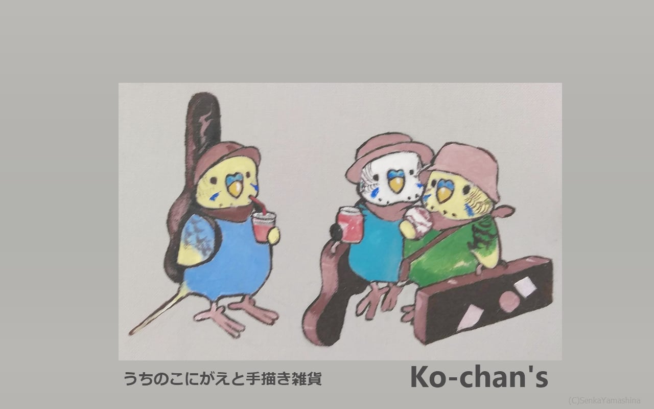 Ko-chan's