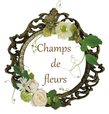 Champs de fleurs