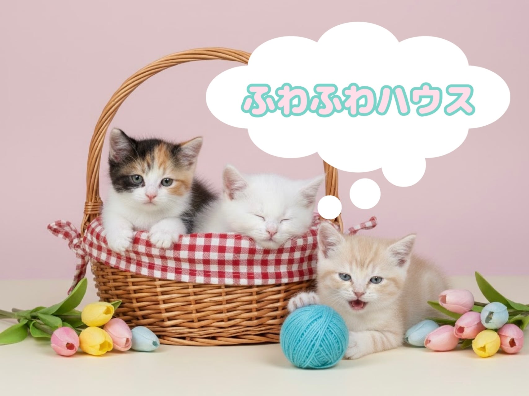 ふわふわハウス