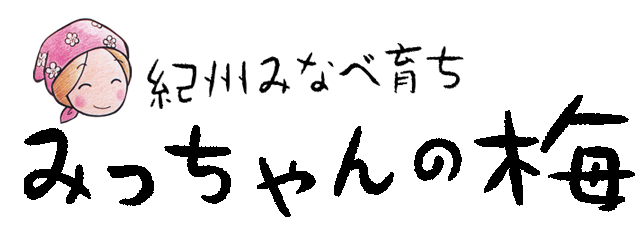 みっちゃんの梅