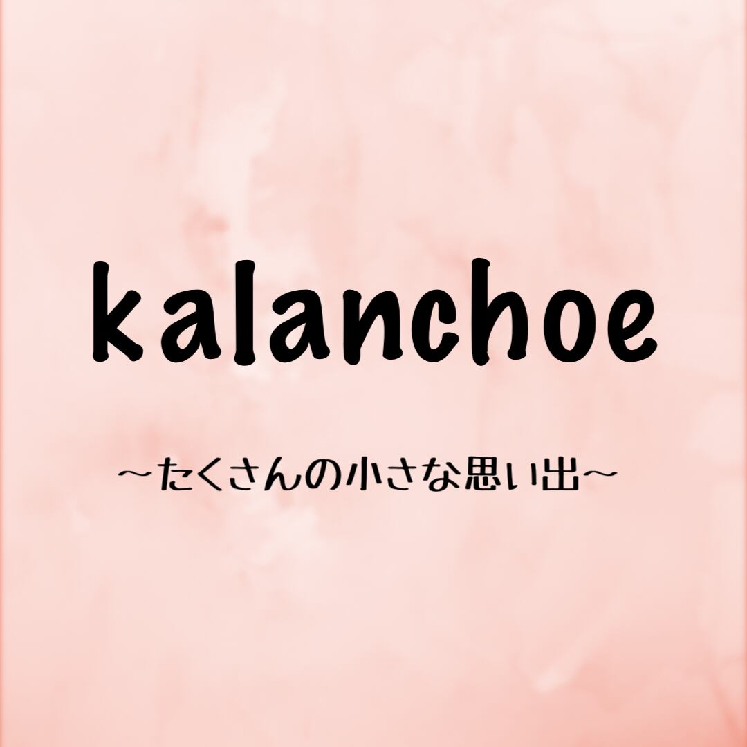 kalanchoe_happy