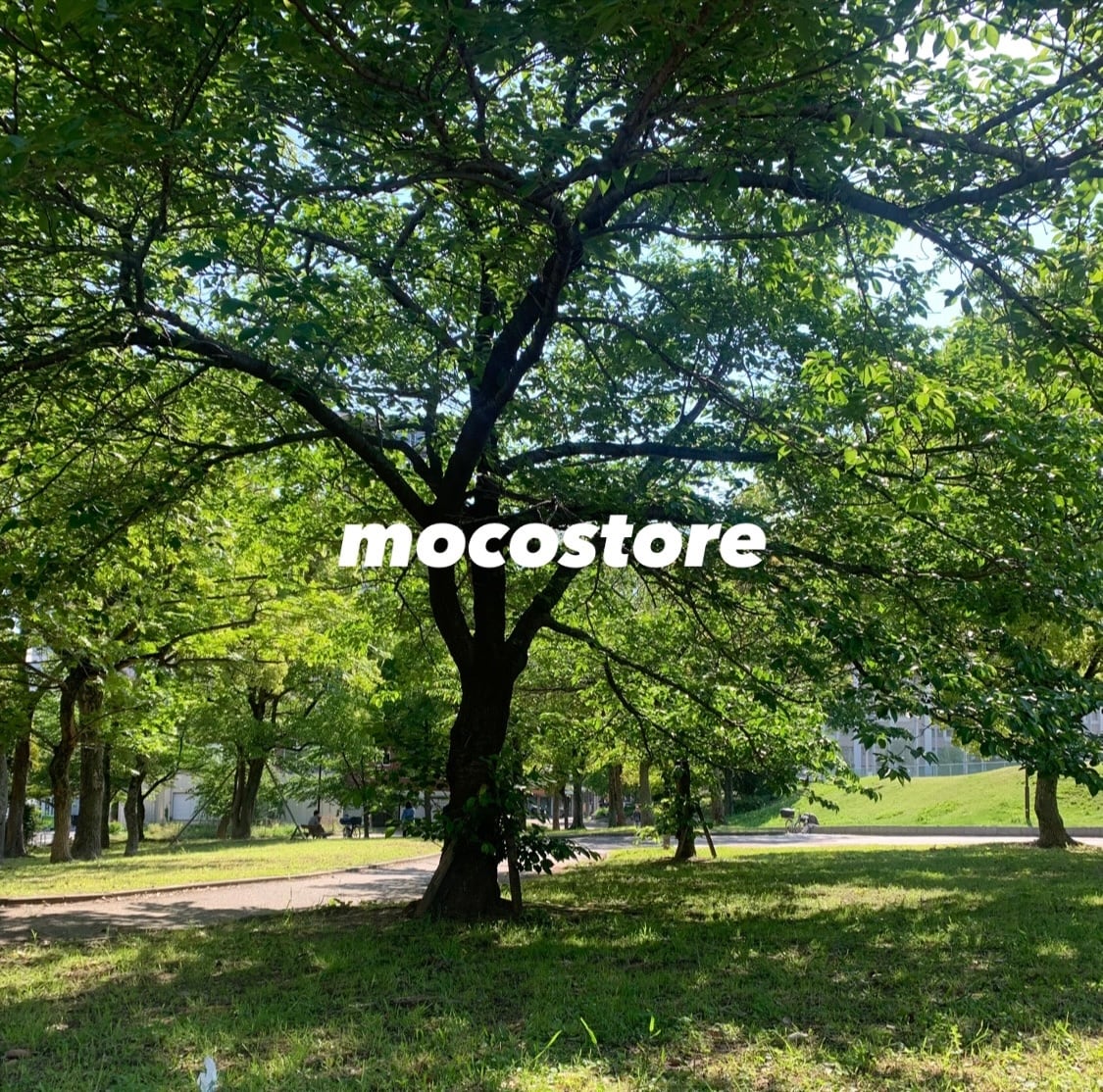 MOCOSTORE