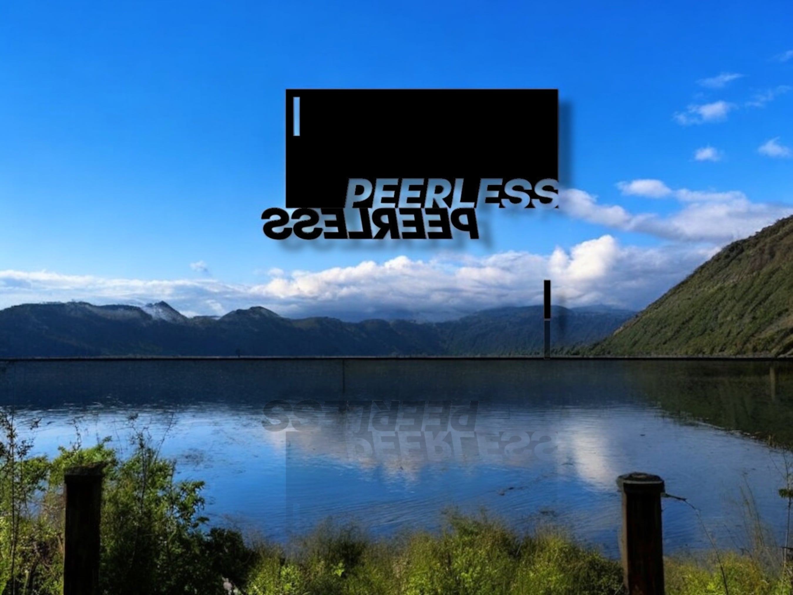 peerless