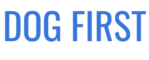DOG FIRST