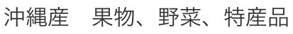 ADAN OKINAWA  アダン沖縄　BASE店　沖縄特産品、果物、野菜、苗木販売