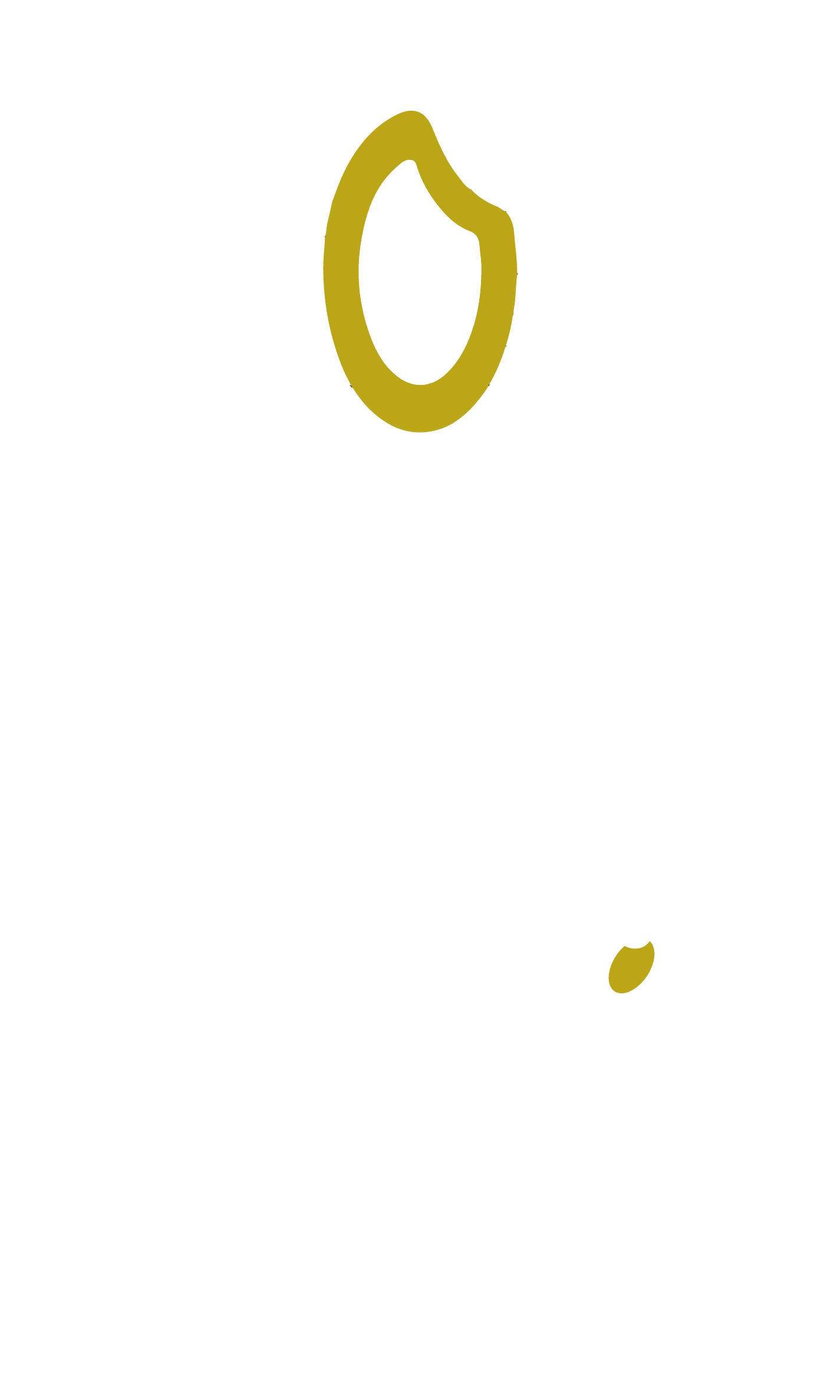 砂壁製米舎｜岩手の新ブランド米「銀河のしずく」