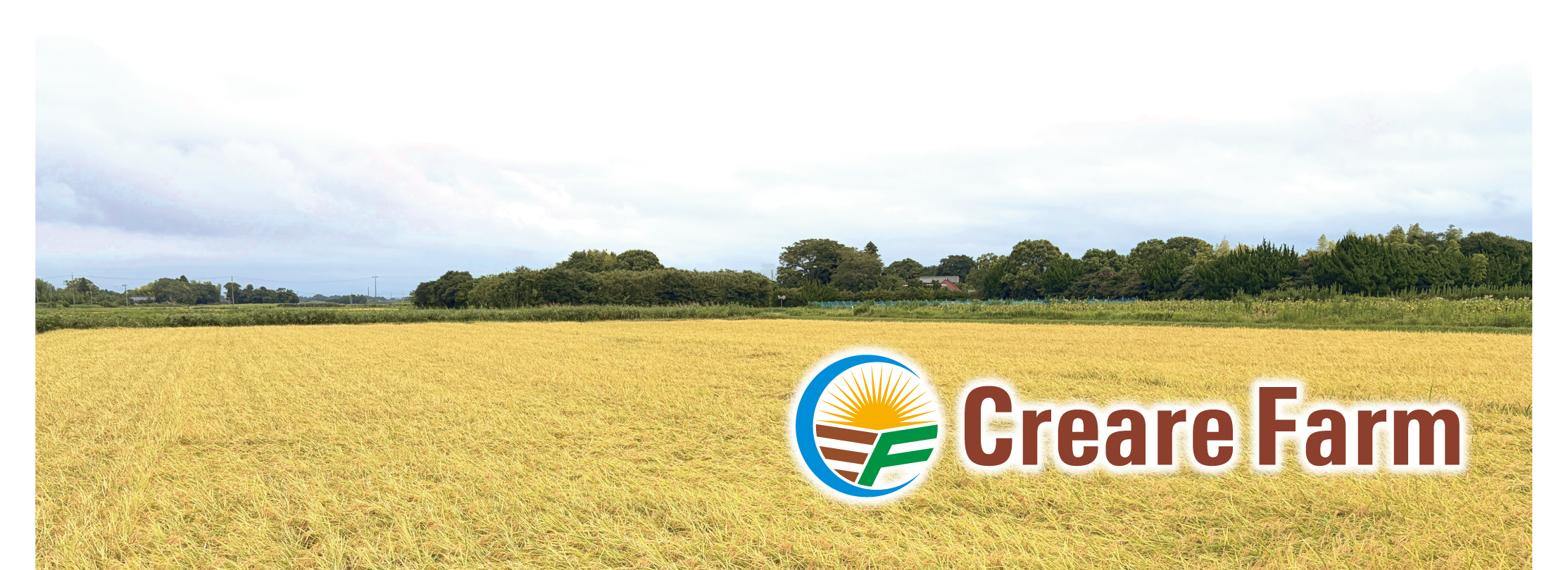 クレアールファーム Creare Farm 千葉県白子町 コシヒカリ