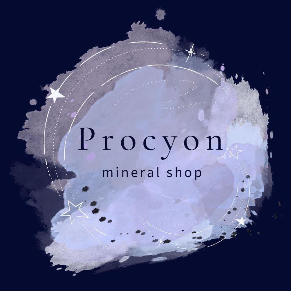 Procyon