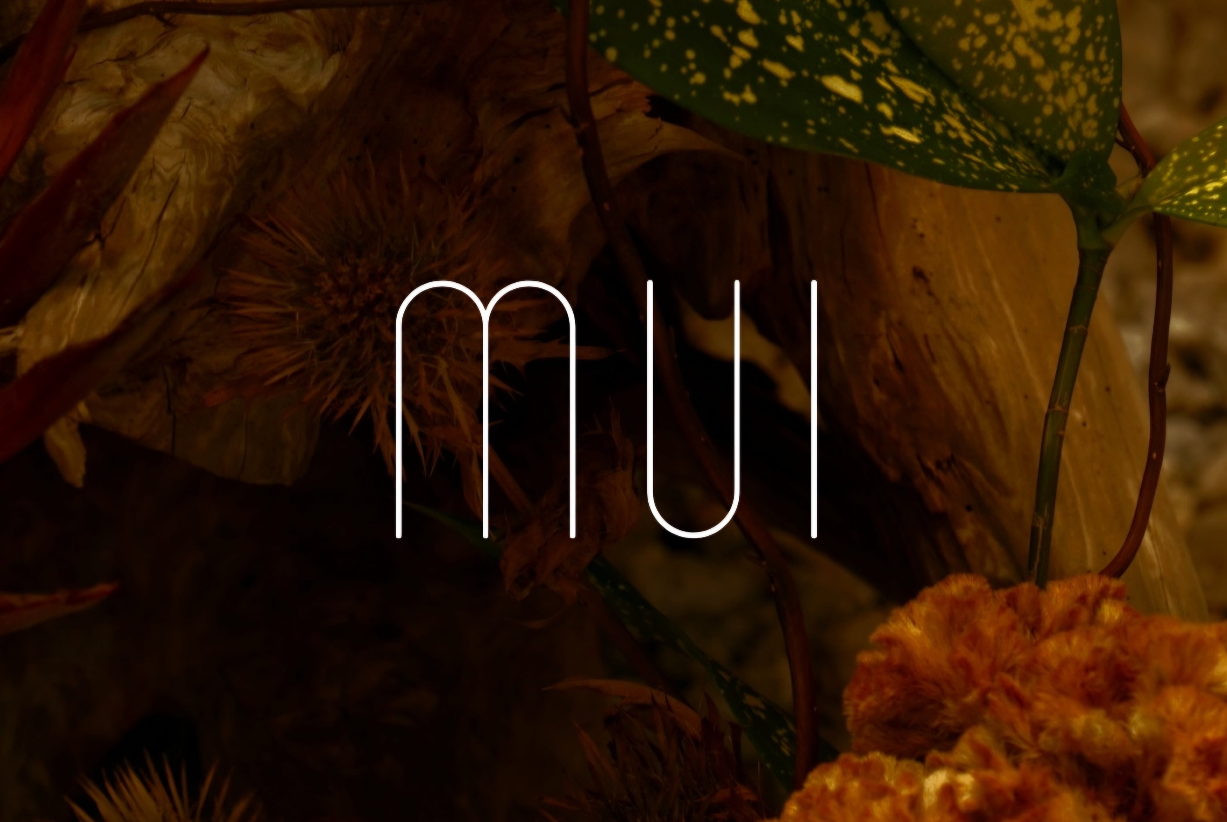 MUI