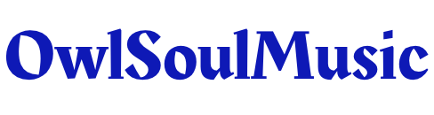 OwlSoulMusic Official Store