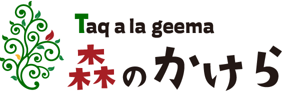 森のかけら