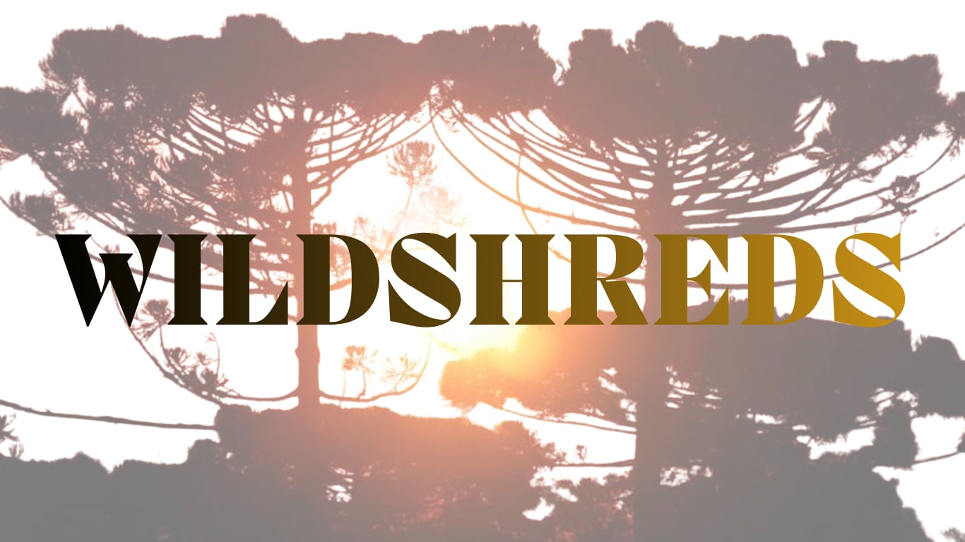 WILDSHREDS
