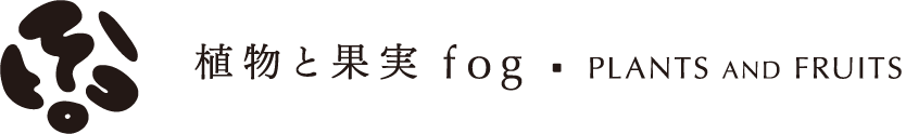 植物と果実 fog - PLANTS AND FRUITS