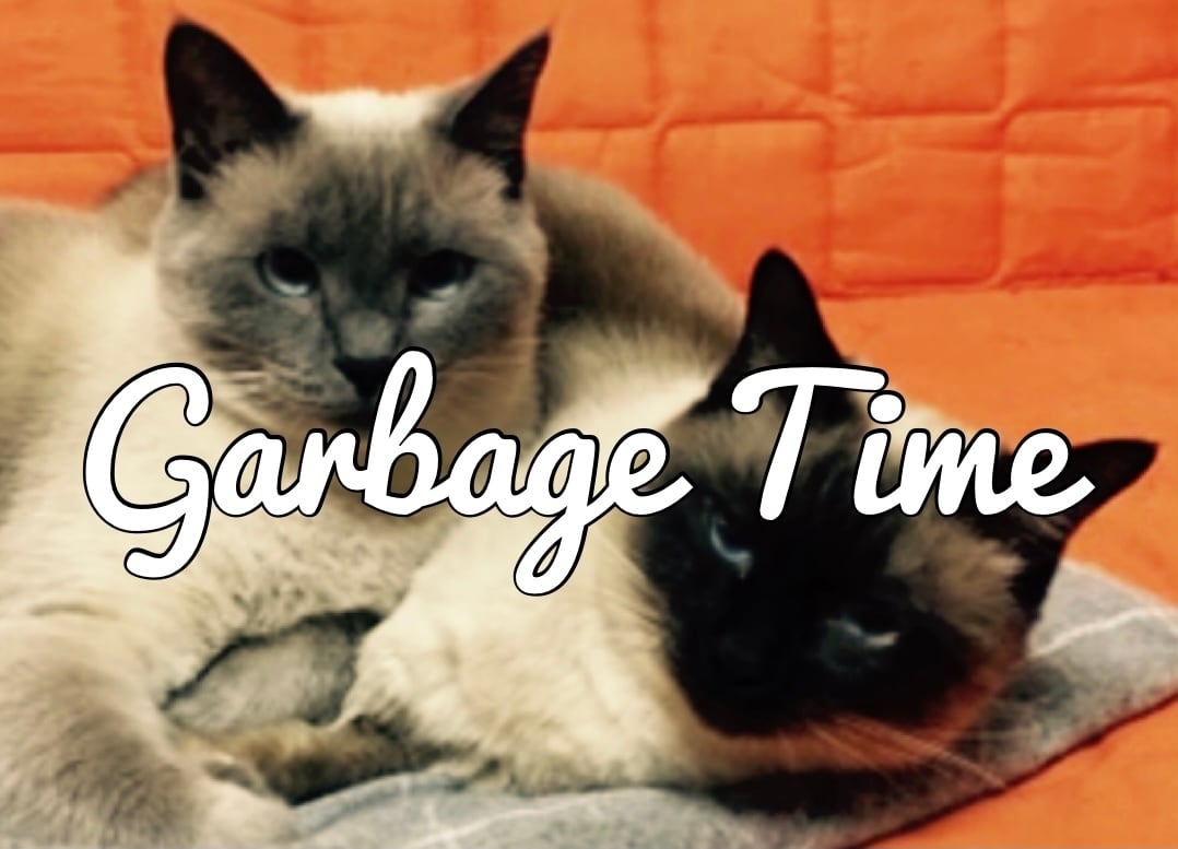 Garbage Time 